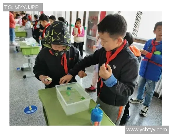 足球明星答题节目全景解析与推荐让你了解他们的趣味与智慧