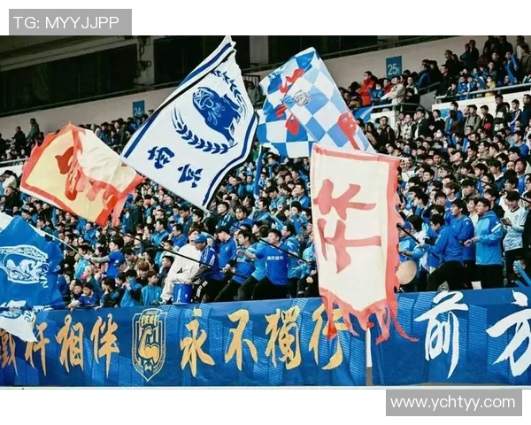 南京足球队荣登速度排行榜第二名引发热议