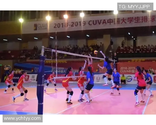 上海排球队的控制革新探索与实践全景分析 上海排球队的控制革新探索与实践全景分析